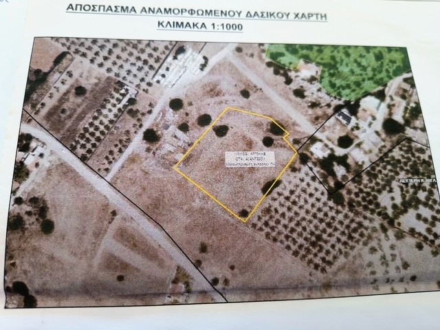 Πώληση γης Σαλαμίνα Έκταση 4.611 τ.μ.