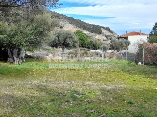 Land for sale Amphipolis Plot 348 sq.m.