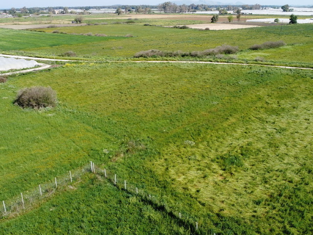 Πώληση γης Μανολάδα Αγροτεμάχιο 8.000 τ.μ.