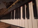 Εικόνα 3 από 10 - Πιάνο Yamaha - Νομός Αττικής >  Υπόλοιπο Αττικής