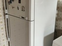 Εικόνα 10 από 10 - Ψυγείο Samsung RT58EASW 75 cm -  Κεντρικά & Νότια Προάστια >  Γλυφάδα