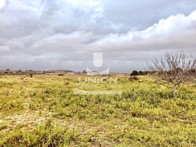Land for rent Markopoulo Mesogaias Plot