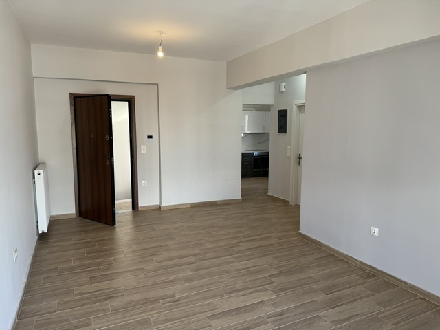Home for rent Athens (Akadimia Platonos) Apartment 65 sq.m. renovated