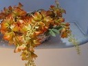 Εικόνα 9 από 10 - Λουλούδια Ψεύτικα -  Βόρεια & Ανατολικά Προάστια >  Νέα Ερυθραία