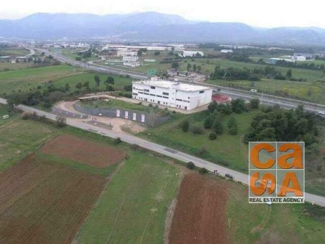 Commercial property for rent Center Building 7.000 sq.m.