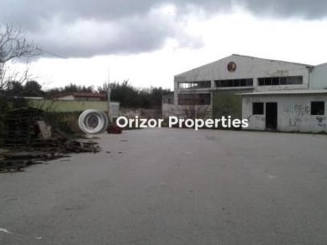 Commercial property for sale Drosia Industrial space 1.768 sq.m.