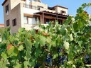 Εικόνα 19 από 30 - Villa on Aegina - Νησιά Αργοσαρωνικού >  Αίγινα