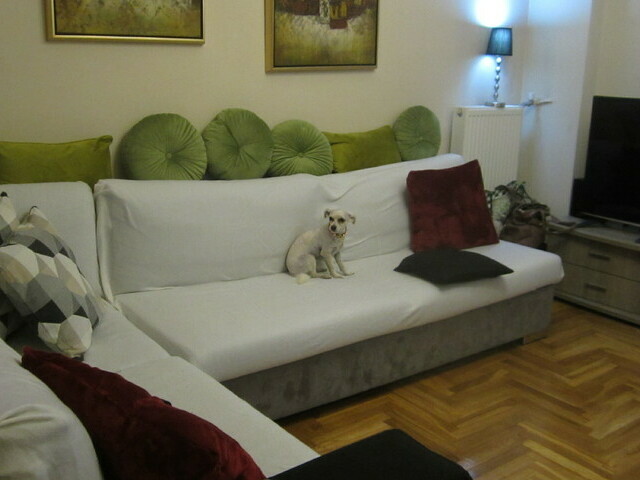 Home for sale Athens (Agios Eleftherios) Apartment 50 sq.m. renovated