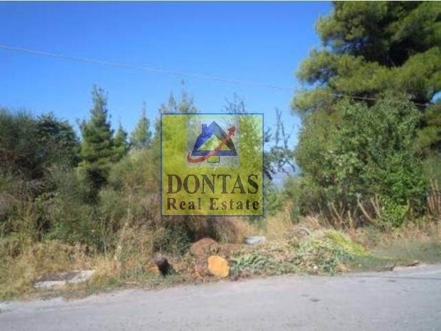 Land for sale Dionysos Plot 1.500 sq.m.