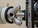 Εικόνα 5 από 10 - Μικροσκόπιο Olympus CX22 -  Πλατεία Αμερικής >  Άγιος Νικόλαος