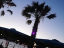 Εικόνα 6 από 6 - Beach Bar- Restaurant - Νομός Αττικής >  Υπόλοιπο Αττικής