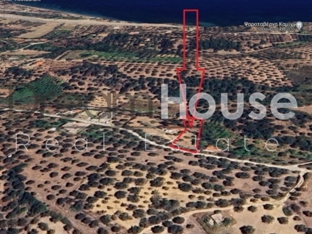 Πώληση γης Αλισσός Οικόπεδο 1.450 τ.μ.