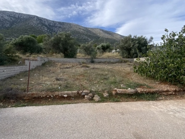 Land for rent Paiania Plot 504 sq.m.