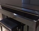 Πιάνο Schimmel - Πεύκη