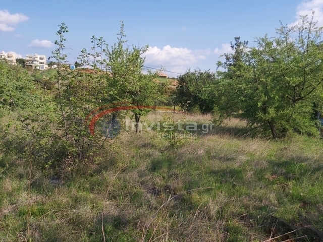 Land for sale Panorama Plot 850 sq.m.