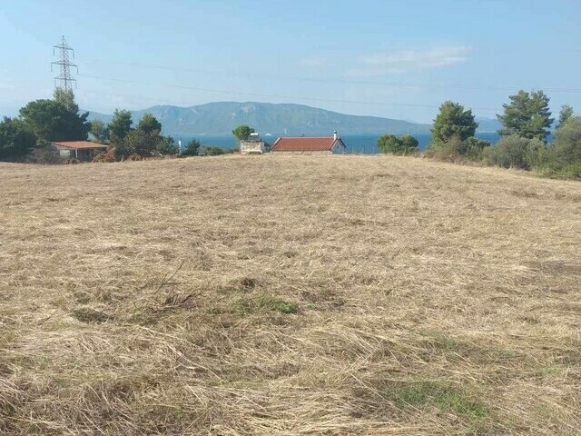 Land for sale Agia Ekaterini Plot 9.000 sq.m.