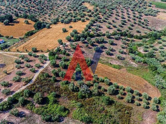 Land for sale Kassandreia Land parcel 2.365 sq.m.