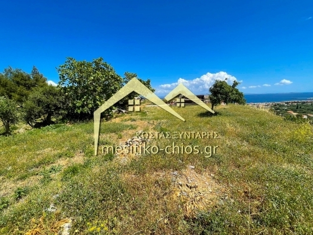 Land for sale Chios Plot