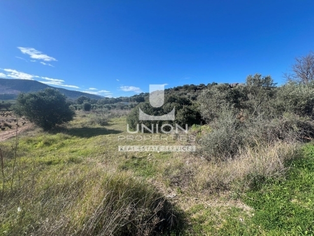 Land for sale Markopoulo Mesogaias (Markopoulo) Plot 1.422 sq.m.