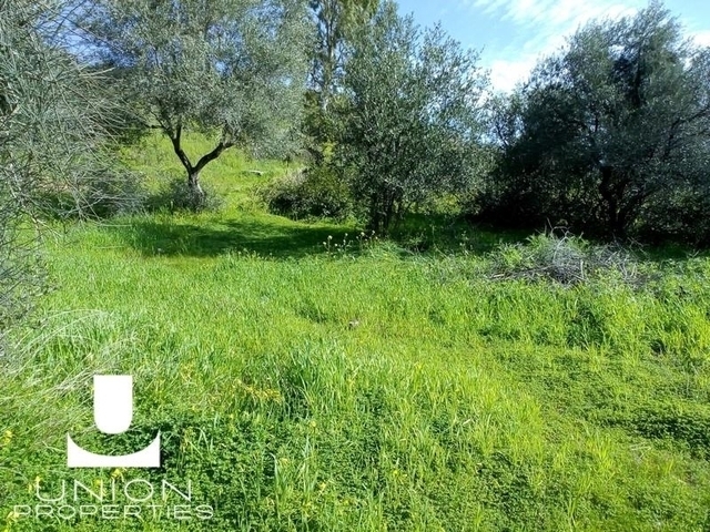 Land for sale Voula (Panorama) Plot 350 sq.m.