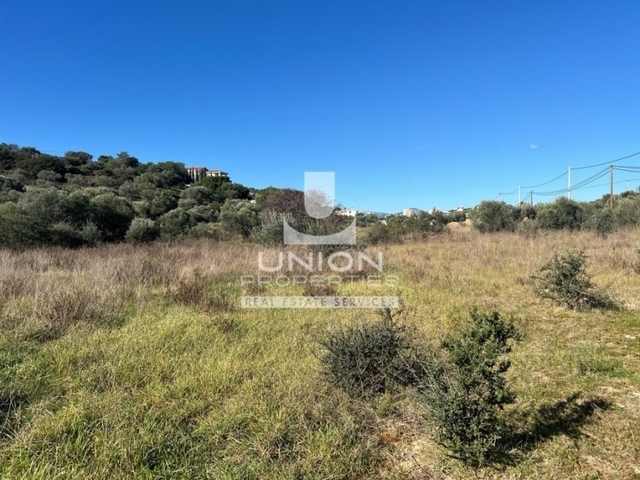 Land for sale Markopoulo Mesogaias (Markopoulo) Plot 702 sq.m.