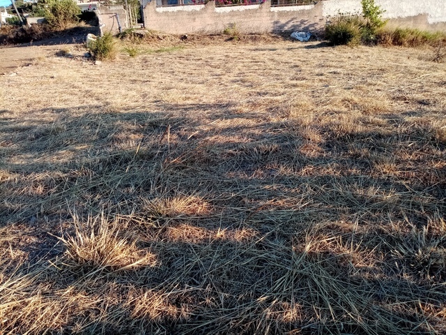 Πώληση γης Πανόραμα Μικρολίμανου (Μικρολίμανο) Οικόπεδο 300 τ.μ.