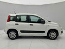 Φωτογραφία για μεταχειρισμένο FIAT PANDA 1.2 Easy του 2019 στα 9.450 €