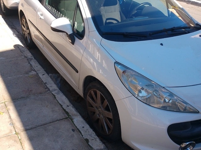 PEUGEOT 207 Ralley