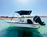  BOSTON WHALER Ταχύπλοο - Βούλα