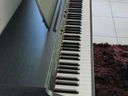 Εικόνα 5 από 5 - ΠΙΑΝΟ - Ν. Θεσσαλονίκης >  Υπόλοιπο Ν. Θεσσαλονίκης