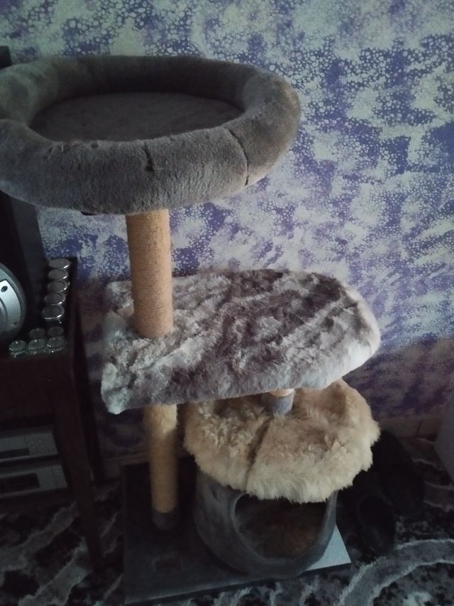 Εικόνα 1 από 3 - Αξεσουάρ για Ζώα -  Κεντρική Θεσσαλονίκη >  Κέντρο