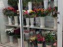 Εικόνα 6 από 10 - Ανθοπωλείο Επιχείρηση - Θεσσαλία >  Ν. Καρδίτσας