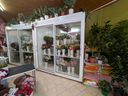 Εικόνα 9 από 10 - Ανθοπωλείο Επιχείρηση - Θεσσαλία >  Ν. Καρδίτσας