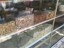 Εικόνα 4 από 5 - Κάβα ποτών -  Πλατεία Αττικής >  Άγιος Παντελεήμονας